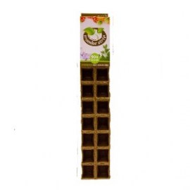 VASO BIODEGRADABILE 2 x 20 BUCHI DIAMETRO 5CM